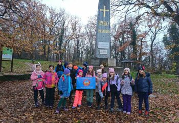 viber_image_2025-11-29_15-06-55-386